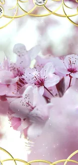 Cherry blossoms with soft pink petals and elegant gold accents.