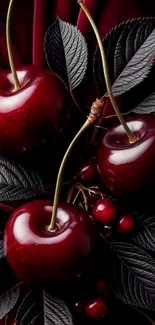 Glossy cherries in a stylish mobile wallpaper design.