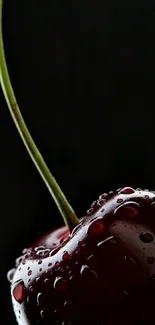 Elegant dark cherry wallpaper with dew.