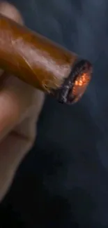 Close-up of a hand holding a glowing cigar against a dark background.