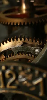 Intricate brass clockwork gears, perfect for steampunk design.