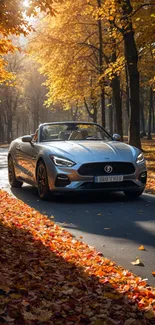 Luxury convertible driving through autumn forest road.