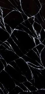 Elegant cracked marble pattern wallpaper with black background.