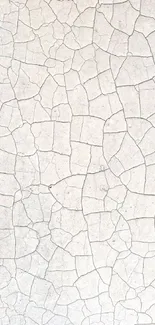 Mobile wallpaper with cracked earth texture design.