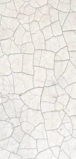 Light grey cracked texture wallpaper for mobile phone.