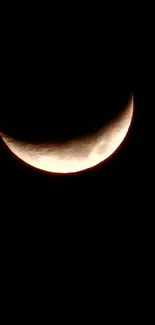 Elegant crescent moon on a black background.