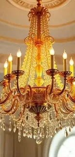 Golden crystal chandelier with elegant design.