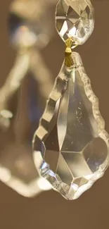 Close-up of elegant, shimmering crystal ornament with brown background.