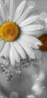 Close-up of daisy flowers in a vase, highlighting the yellow centers.