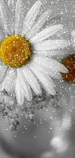 Daisy with a yellow center on a gray background for phones.