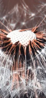 Close-up of a detailed dandelion flower against an earthy background.