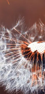 Close-up of a dandelion showcasing its fluffy details and serene colors.