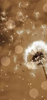 Dandelion seeds dispersing in sepia tone wallpaper, offering a serene visual.