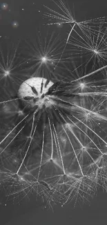 Intricate dandelion seed head in grayscale, capturing delicate details.