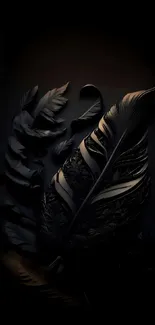 Elegant dark feather design mobile wallpaper