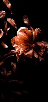 Dark floral wallpaper with copper rose and petals on black background.