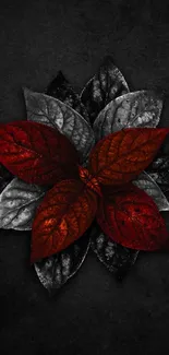 Dark background with red leaves design wallpaper.