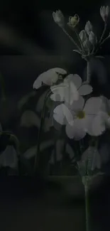 Dark floral wallpaper with white delicate flowers.