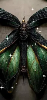 Dark green moth with golden accents on a textured background.