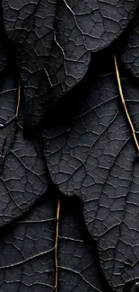 Dark textured leaves with intricate patterns creating an elegant design.