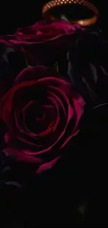 Dark and elegant rose design for mobile wallpaper.