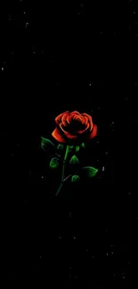 Dark background with a vibrant red rose at its center.