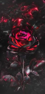 Dark rose wallpaper with deep red petals on black background.