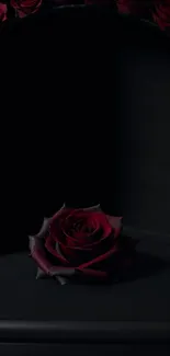 Elegant dark rose wallpaper with a deep black background.