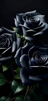 Elegant dark rose wallpaper with black roses on a matte background.