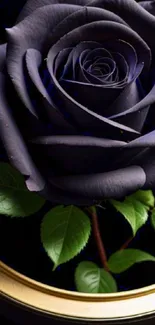 A dark purple rose with green leaves on a golden background.