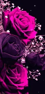 Dark magenta roses with delicate white accents.