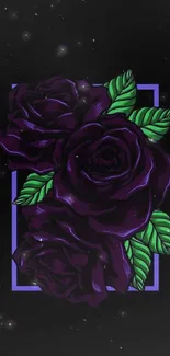 Elegant dark purple roses against a black background, enclosed in a delicate frame.