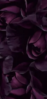 Dark purple rose wallpaper for mobile display.