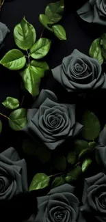 Beautiful dark roses with green leaves background