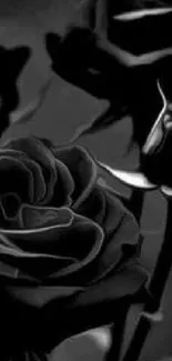 Black and white rose close-up, artistic style.