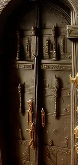 Intricate medieval-style door with gold accents on dark brown wallpaper.