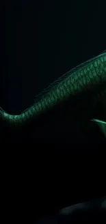 Elegant deep sea fish in dark ocean setting.