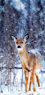 Deer standing in a snow-covered forest with a wintry background.