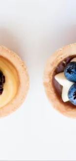 Two elegant dessert tarts with berries and cream on a white background.