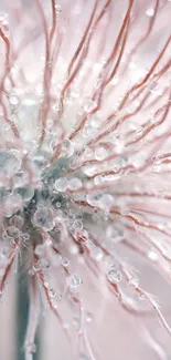 Close-up of a dew-covered fluffy flower in soft pastel hues.