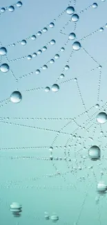 Dew drops on a spider web with light blue background.