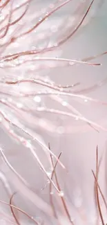 Abstract art with pink hues and dewdrops on a mobile wallpaper.