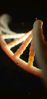 Abstract DNA helix with elegant lighting in dark background.