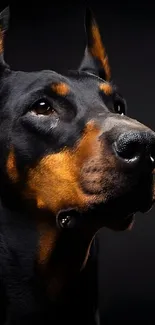 Elegant black Doberman portrait on a sleek mobile wallpaper.