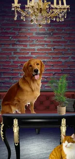 Dog and cat on elegant set with brick wall background.