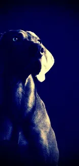 Elegant dog in soft blue lighting, artistic wallpaper.