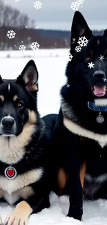 Two majestic dogs elegantly posed in a serene snowy landscape.