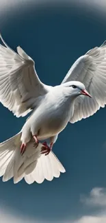 Dove in flight against a blue sky with clouds, symbolizing peace.