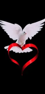 Majestic white dove with red heart ribbon on black background.