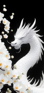 Graceful white dragon among cherry blossoms on dark background.